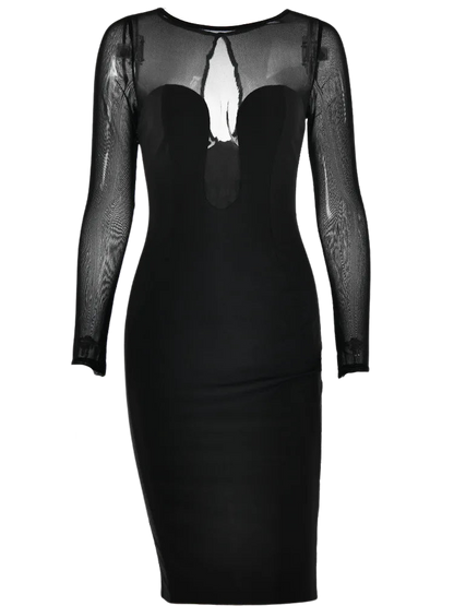 Mesh Long Sleeve Plunge Maxi Dress